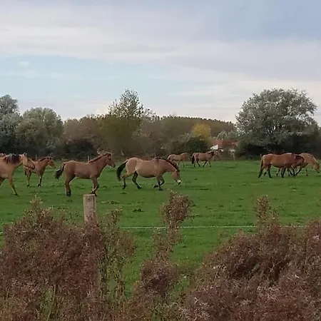 Superbe Au Crotoy Accès Direct