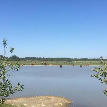 Appartamento Superbe Au Crotoy Accès Direct *